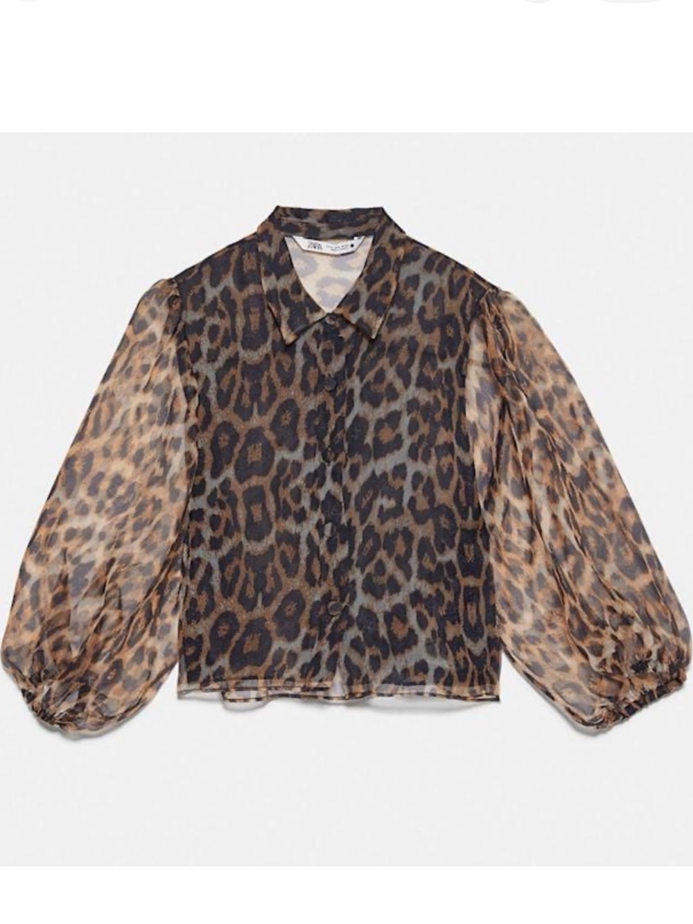 Zara Leopard Print Organza Cropped Top